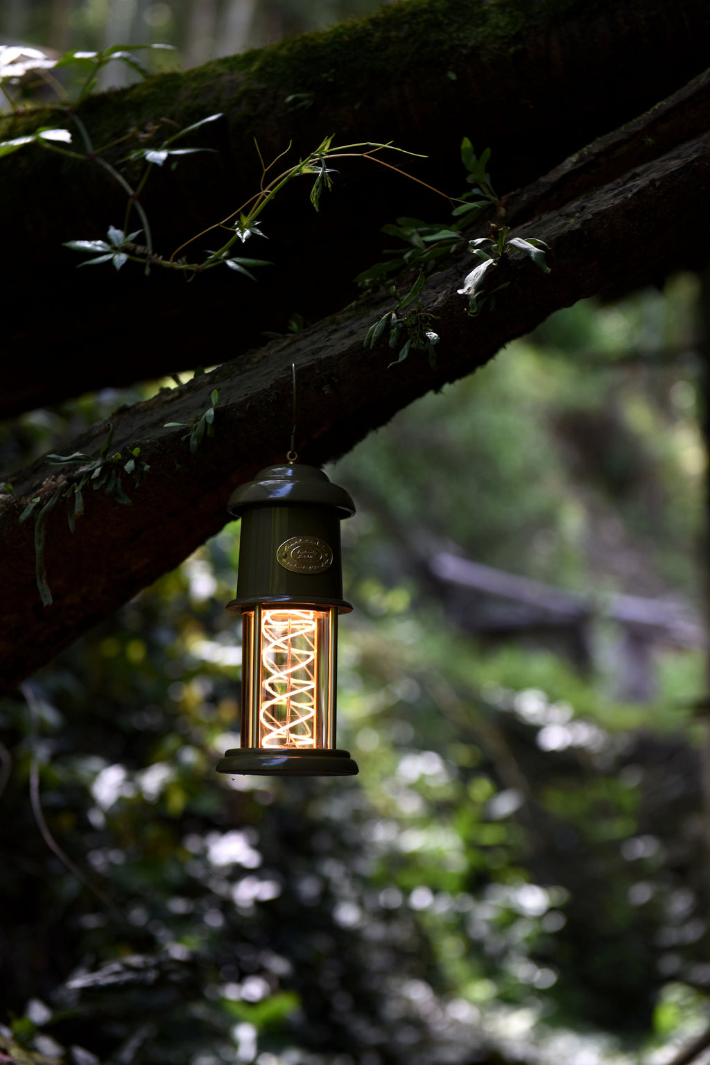 Meteor Green color camping Lantern
