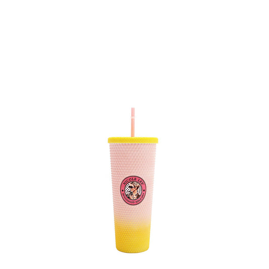 VASO CON TAPA Y PAJILLA 24 OZ CON TACHUELAS (LADIES NIGHT OUT)-0
