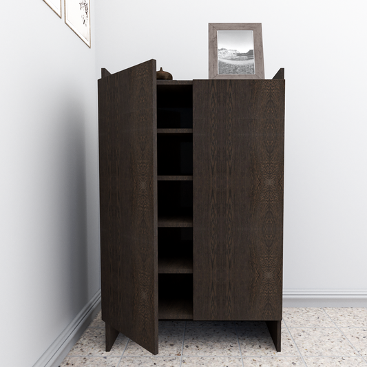 2 Door Engineered Wood Shoe Rack